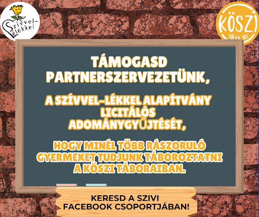 Licitáló adománygyűjtés!